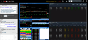 bearbulltraders ed martin review