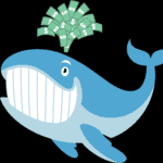 Unusual whales review
